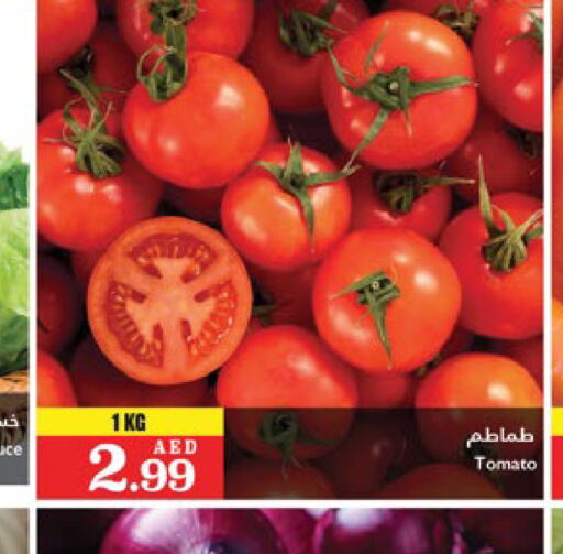  Tomato  in تروليز سوبرماركت in الإمارات العربية المتحدة , الامارات - الشارقة / عجمان