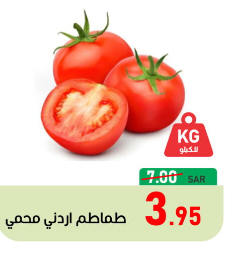  Tomato  in أسواق جرين أبل in مملكة العربية السعودية, السعودية, سعودية - الأحساء‎