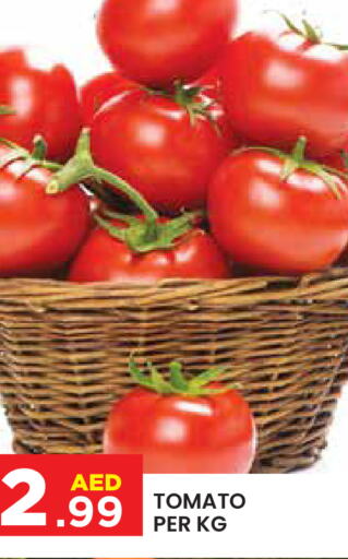  Tomato  in Baniyas Spike  in UAE - Abu Dhabi