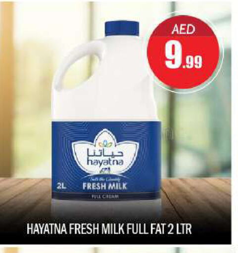 HAYATNA Fresh Milk  in BIGmart in UAE - Abu Dhabi