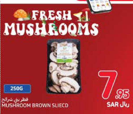  Mushroom  in Carrefour in KSA, Saudi Arabia, Saudi - Sakaka