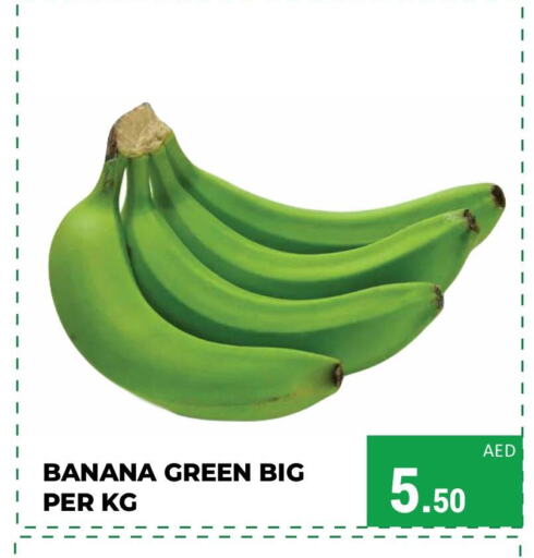  Banana Green  in Kerala Hypermarket in UAE - Ras al Khaimah