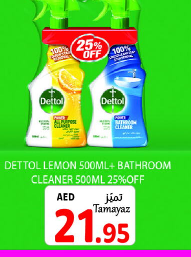 DETTOL Toilet / Drain Cleaner  in Union Coop in UAE - Abu Dhabi