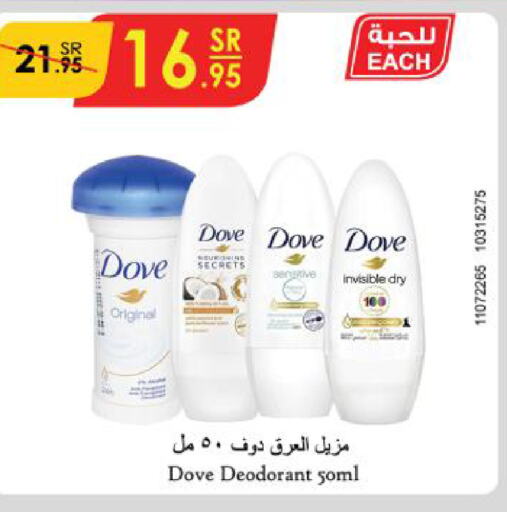 DOVE   in Danube in KSA, Saudi Arabia, Saudi - Riyadh