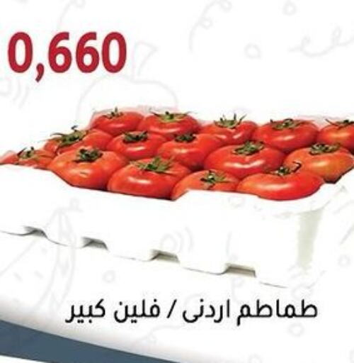  Tomato  in جمعية الزهراء التعاونية in الكويت - مدينة الكويت