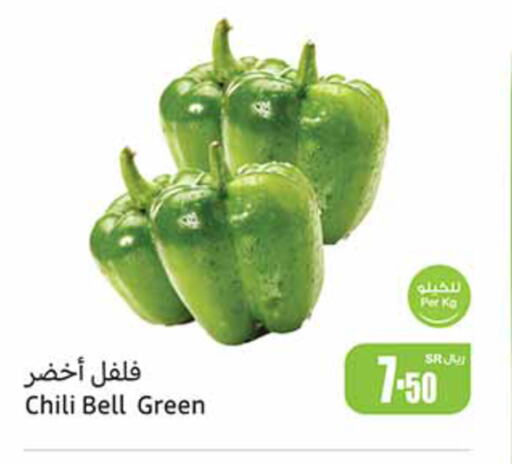  Chilli / Capsicum  in أسواق عبد الله العثيم in مملكة العربية السعودية, السعودية, سعودية - القطيف‎