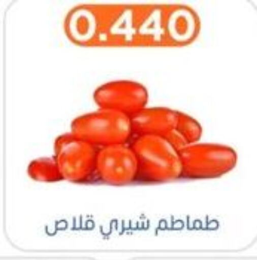  Tomato  in جمعية اشبيلية التعاونية in الكويت - مدينة الكويت