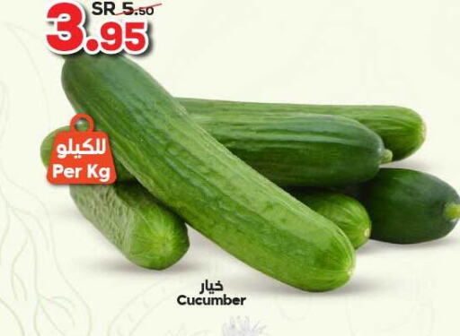  Cucumber  in Dukan in KSA, Saudi Arabia, Saudi - Mecca