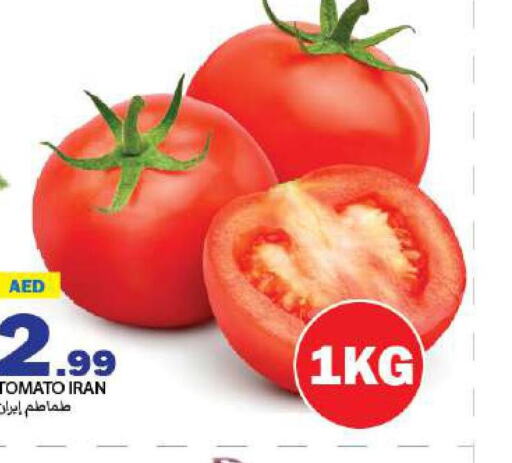  Tomato  in  روابي ماركت عجمان in الإمارات العربية المتحدة , الامارات - الشارقة / عجمان