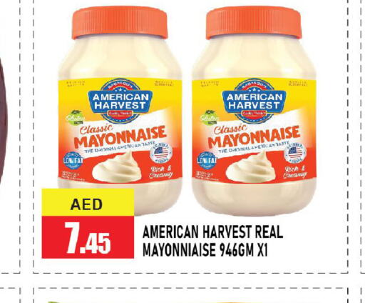 AMERICAN HARVEST مايونيز  in أزهر المدينة هايبرماركت in الإمارات العربية المتحدة , الامارات - أبو ظبي