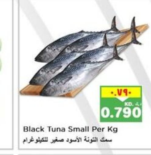  Tuna  in Nesto Hypermarkets in Kuwait