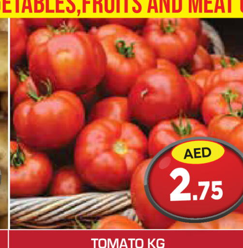  Tomato  in سنابل بني ياس in الإمارات العربية المتحدة , الامارات - أبو ظبي