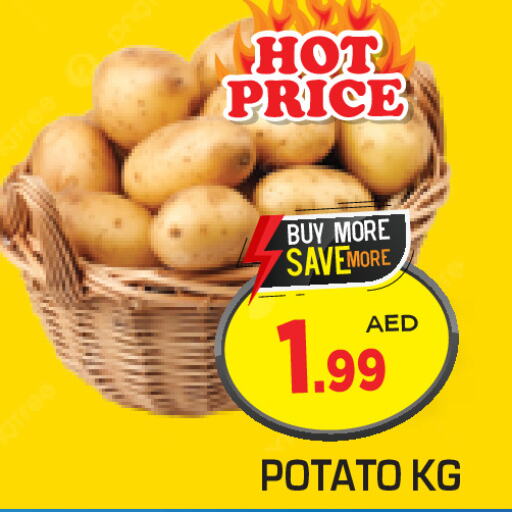  Potato  in سنابل بني ياس in الإمارات العربية المتحدة , الامارات - رَأْس ٱلْخَيْمَة