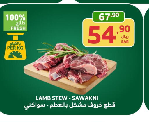  Mutton / Lamb  in Al Raya in KSA, Saudi Arabia, Saudi - Ta'if