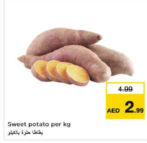  Sweet Potato  in نستو هايبرماركت in الإمارات العربية المتحدة , الامارات - ٱلْفُجَيْرَة‎