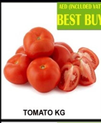  Tomato  in كاريون هايبرماركت in الإمارات العربية المتحدة , الامارات - أبو ظبي