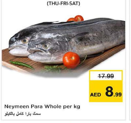    in Nesto Hypermarket in UAE - Fujairah