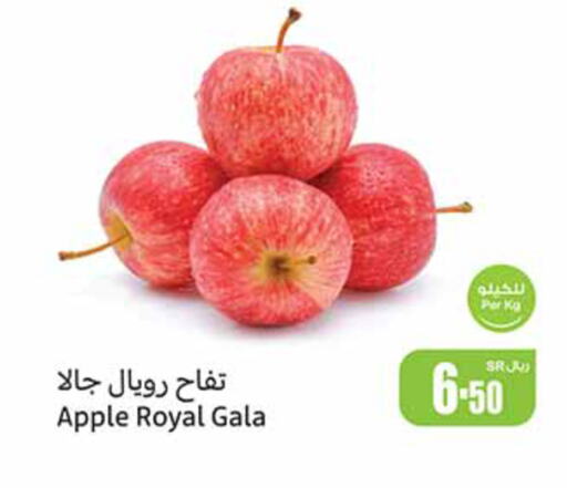  Apples  in أسواق عبد الله العثيم in مملكة العربية السعودية, السعودية, سعودية - بريدة