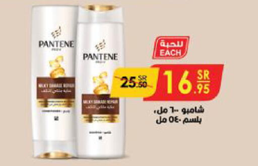 PANTENE شامبو / بلسم  in الدانوب in مملكة العربية السعودية, السعودية, سعودية - تبوك