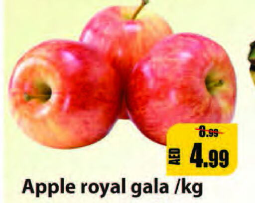  Apples  in Leptis Hypermarket  in UAE - Ras al Khaimah