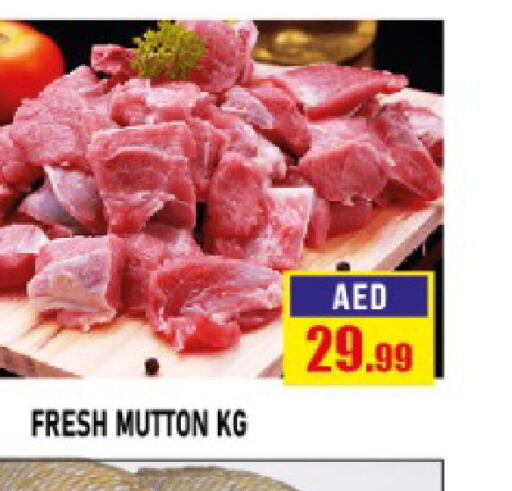  Mutton / Lamb  in Azhar Al Madina Hypermarket in UAE - Abu Dhabi