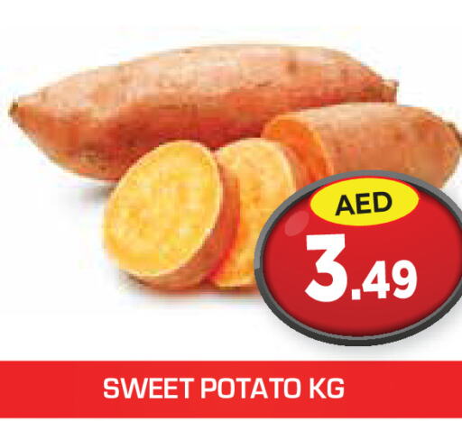  Sweet Potato  in سنابل بني ياس in الإمارات العربية المتحدة , الامارات - رَأْس ٱلْخَيْمَة