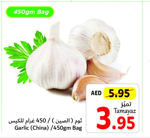  Garlic  in تعاونية الاتحاد in الإمارات العربية المتحدة , الامارات - دبي