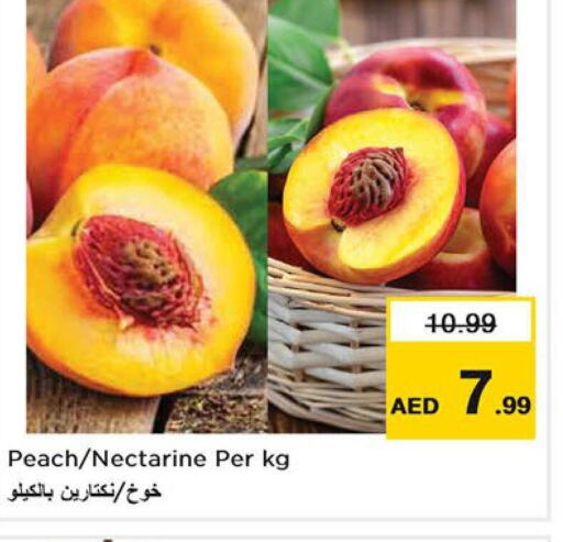  Peach  in لاست تشانس in الإمارات العربية المتحدة , الامارات - ٱلْفُجَيْرَة‎