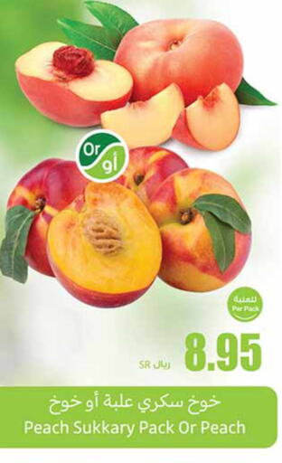  Peach  in Othaim Markets in KSA, Saudi Arabia, Saudi - Rafha