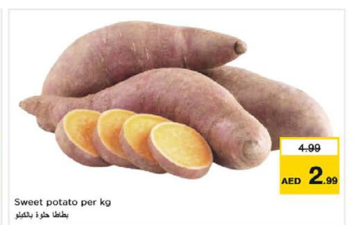  Sweet Potato  in نستو هايبرماركت in الإمارات العربية المتحدة , الامارات - الشارقة / عجمان