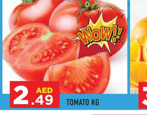  Tomato  in سنابل بني ياس in الإمارات العربية المتحدة , الامارات - أبو ظبي