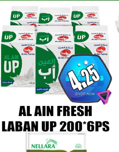 AL AIN   in GRAND MAJESTIC HYPERMARKET in الإمارات العربية المتحدة , الامارات - أبو ظبي