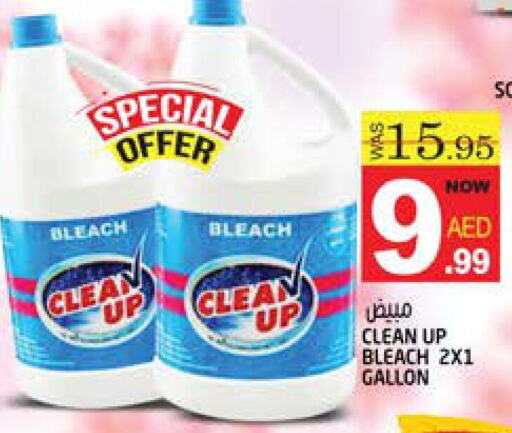  Bleach  in Hashim Hypermarket in UAE - Sharjah / Ajman