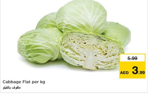  Cabbage  in Last Chance  in UAE - Fujairah