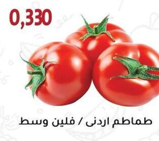  Tomato  in جمعية الزهراء التعاونية in الكويت - مدينة الكويت