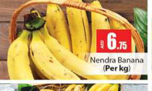  Banana  in Gulf Hypermarket LLC in UAE - Ras al Khaimah