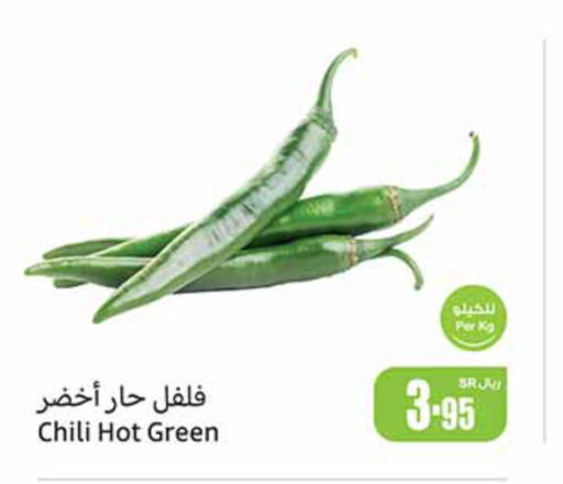  Chilli / Capsicum  in أسواق عبد الله العثيم in مملكة العربية السعودية, السعودية, سعودية - محايل