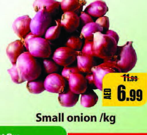  Onion  in Leptis Hypermarket  in UAE - Ras al Khaimah