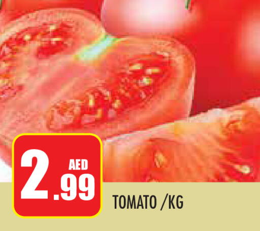  Tomato  in سنابل بني ياس in الإمارات العربية المتحدة , الامارات - أبو ظبي