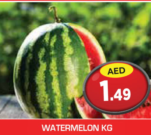  Watermelon  in Baniyas Spike  in UAE - Ras al Khaimah