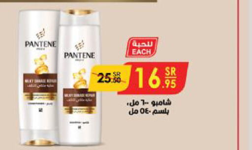 PANTENE شامبو / بلسم  in الدانوب in مملكة العربية السعودية, السعودية, سعودية - مكة المكرمة