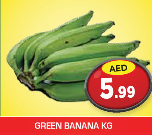  Banana  in سنابل بني ياس in الإمارات العربية المتحدة , الامارات - رَأْس ٱلْخَيْمَة