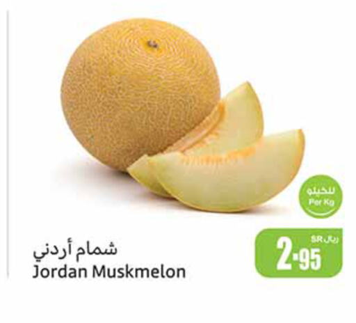  Sweet melon  in Othaim Markets in KSA, Saudi Arabia, Saudi - Rafha