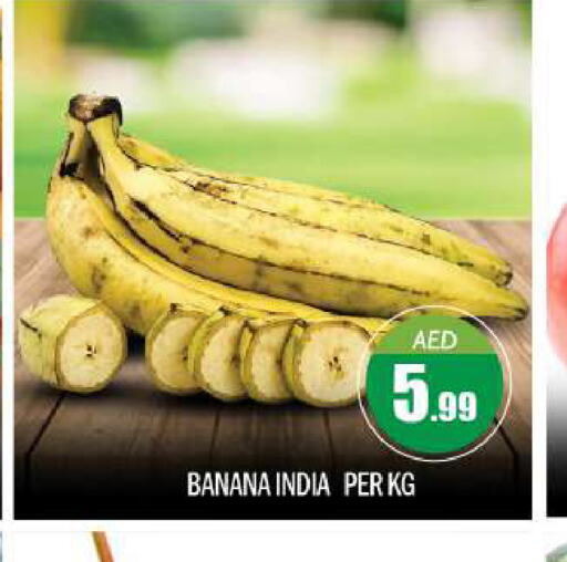  Banana  in BIGmart in UAE - Abu Dhabi