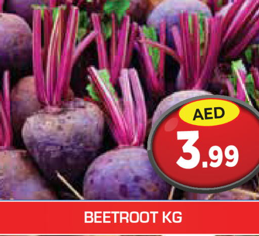  Beetroot  in سنابل بني ياس in الإمارات العربية المتحدة , الامارات - رَأْس ٱلْخَيْمَة