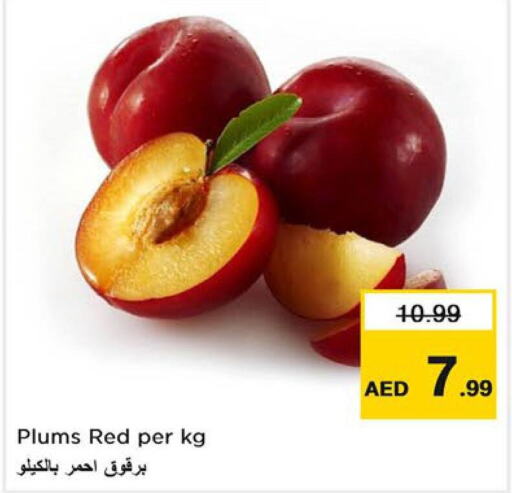  Plums  in Last Chance  in UAE - Fujairah