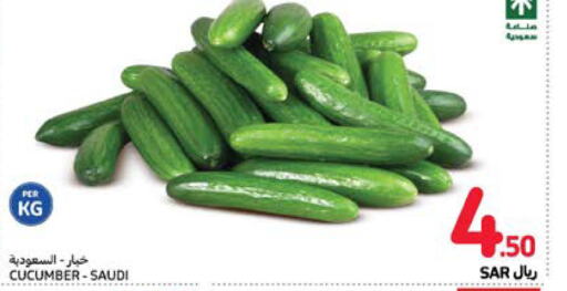  Cucumber  in Carrefour in KSA, Saudi Arabia, Saudi - Mecca