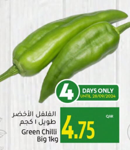  Chilli / Capsicum  in جلف فود سنتر in قطر - الضعاين