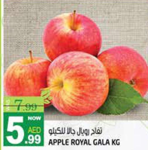  Apples  in هاشم هايبرماركت in الإمارات العربية المتحدة , الامارات - الشارقة / عجمان