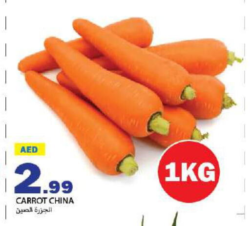  Carrot  in  روابي ماركت عجمان in الإمارات العربية المتحدة , الامارات - الشارقة / عجمان